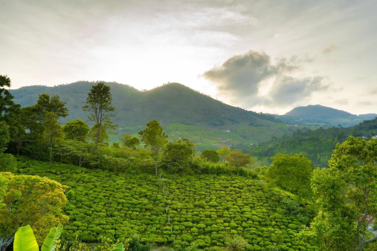 Biosphere Coonoor Eksteriør billede